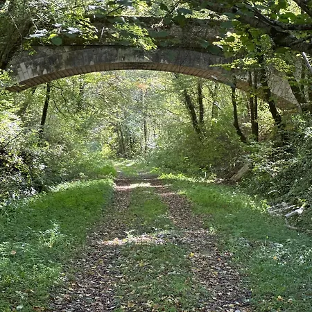 Les Petits Vingnes 別荘