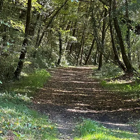 Les Petits Vingnes Édon