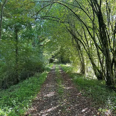 Les Petits Vingnes * Édon